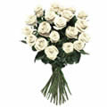 Bouquet de roses blanches Bouquet de roses blanches