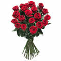 Bouquet de roses rouges
