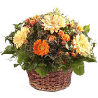 Arrangement floral multicolore dans un contenant ou dans un panier livraison a Sion